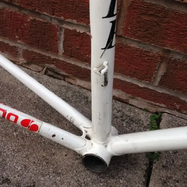 Ribble frame (6).webp