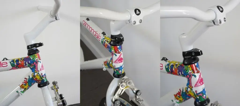 XC stem.webp
