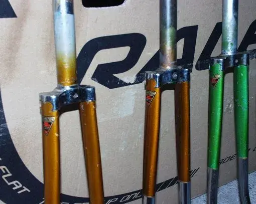 Carlton Forks 4.webp