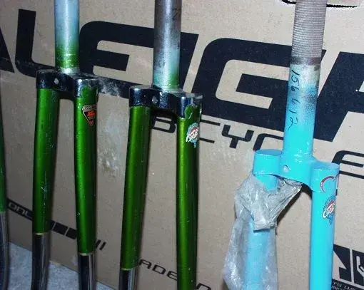 Carlton Forks 3.webp