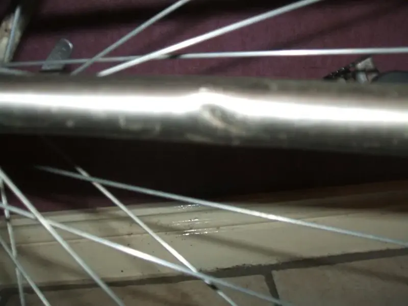 DSCF3476.webp