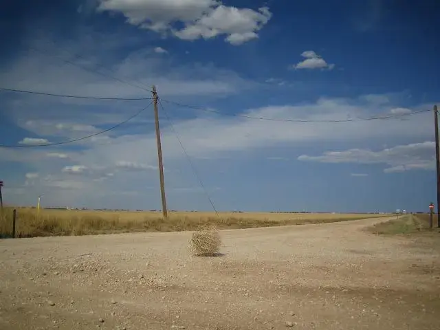 Tumbleweed_rolling.webp