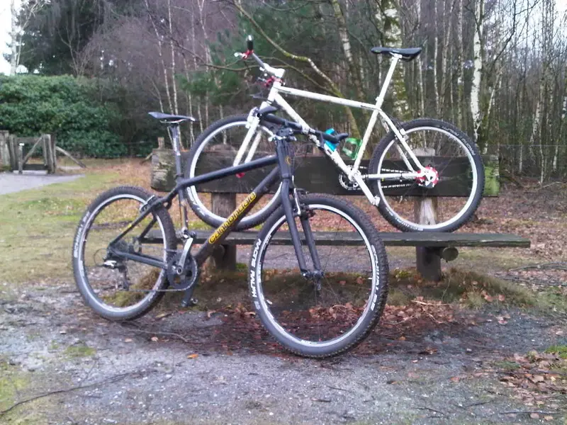 IMG00446-20131222-1339.webp