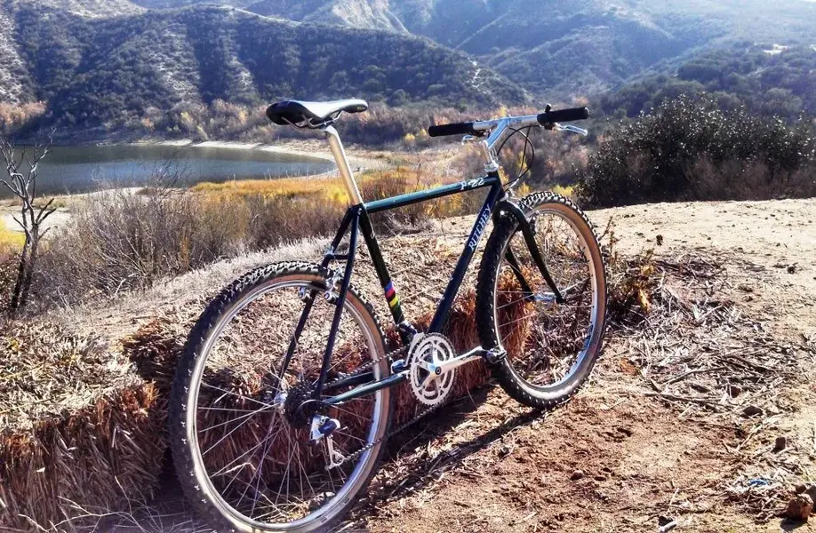 P22 at Vail Lake.webp