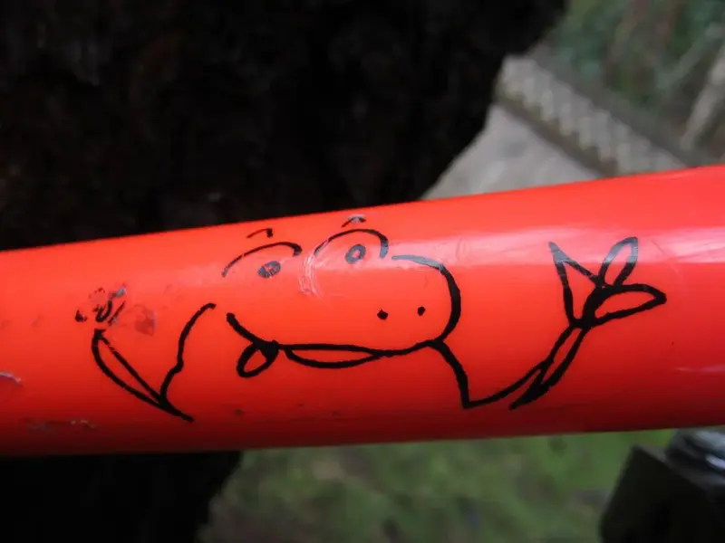 toad1.webp