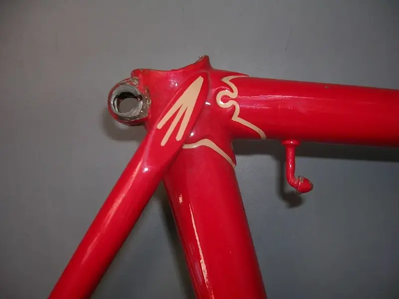 DSCN5248.webp