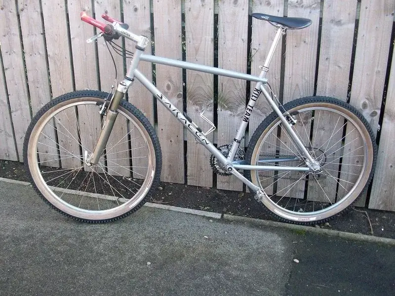 Saracen 071.webp