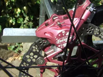 pink hope.webp