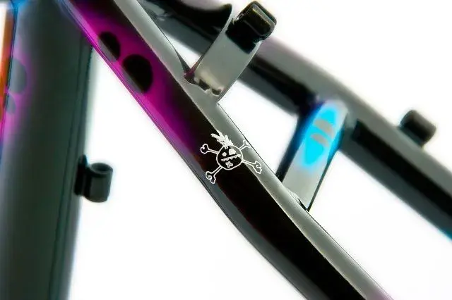 5520996_orig.webp