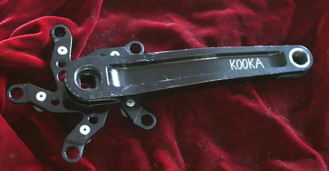 Kooka 1.webp