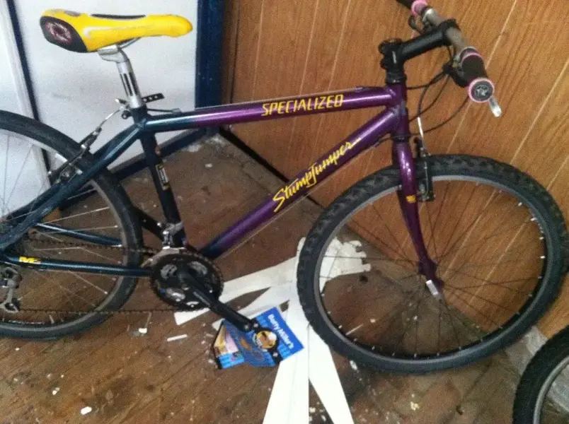specialized.webp