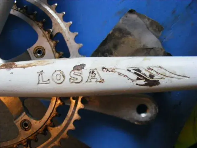 Losa Repairs6.webp