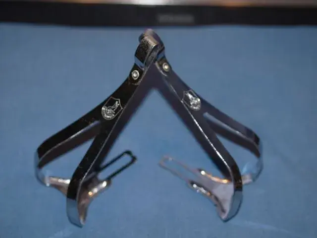 Chorus clips.webp