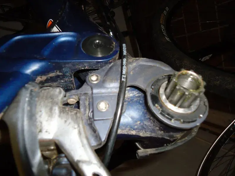 DSC02235.webp