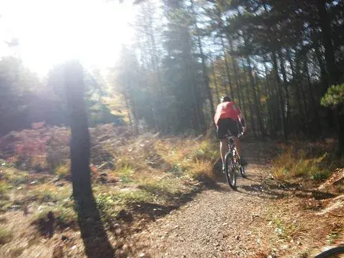 Ride.webp