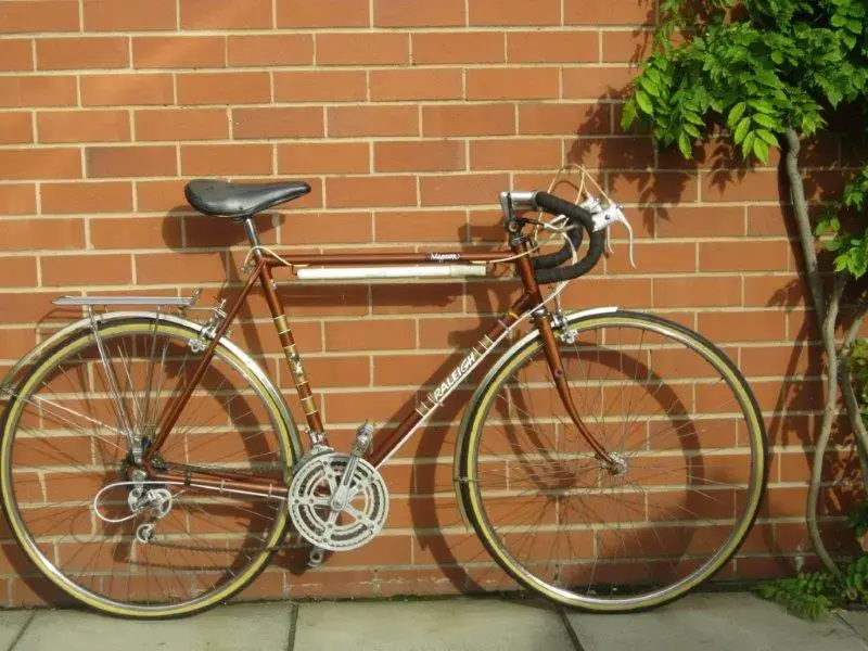 Raleigh%20Magnum%20(1).webp