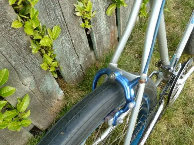 Schwinn Sidewinder 007.webp
