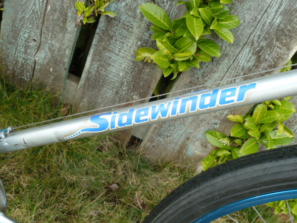 Schwinn Sidewinder 006.JPG