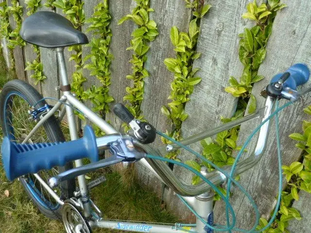 Schwinn Sidewinder 005.webp