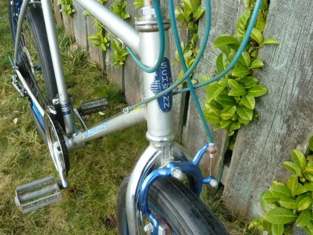 Schwinn Sidewinder 004.webp
