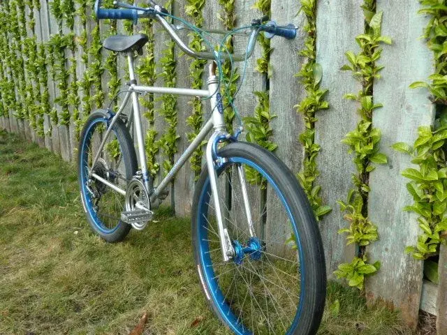 Schwinn Sidewinder 002.webp