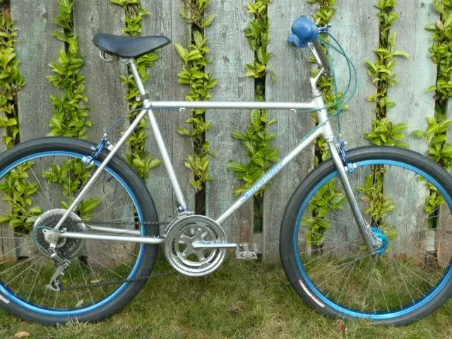 Schwinn Sidewinder 001.webp