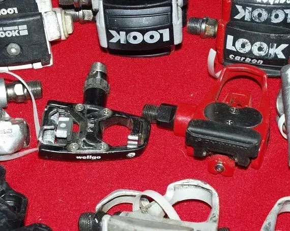Pedals Galore 8.webp