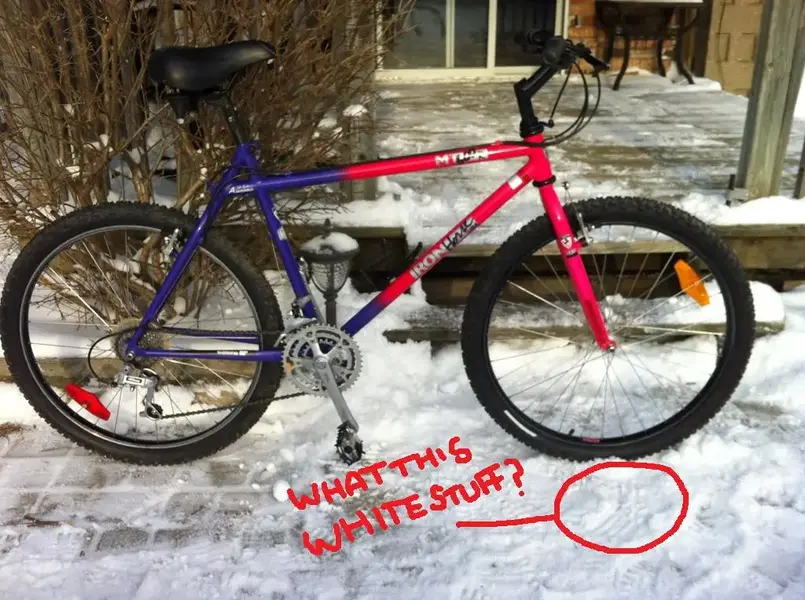 iron horse.webp