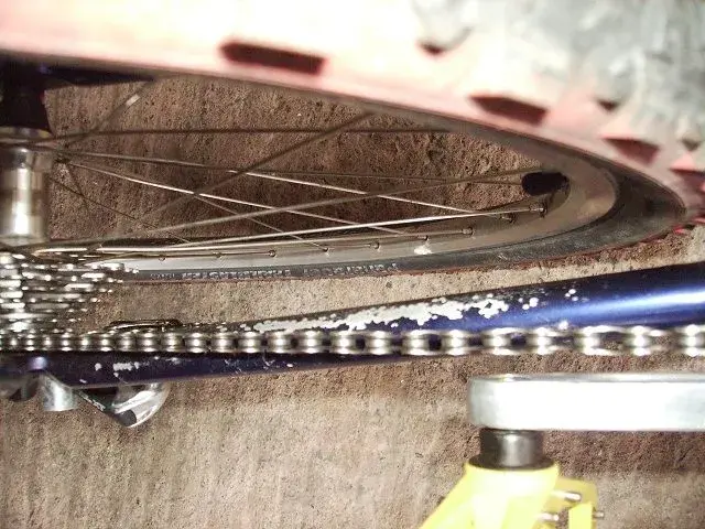 Trek, etc 013.webp