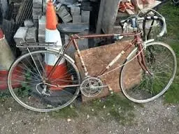 untitled.webp