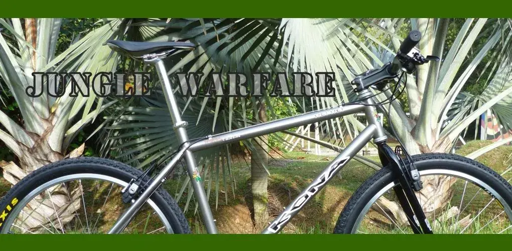 07.webp