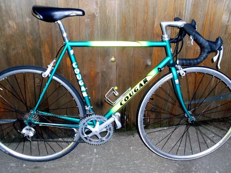 bike 007.webp
