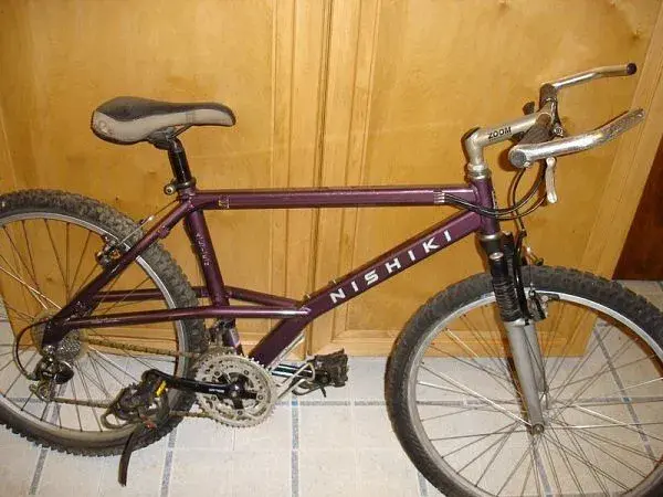 Nishiki Alien.webp