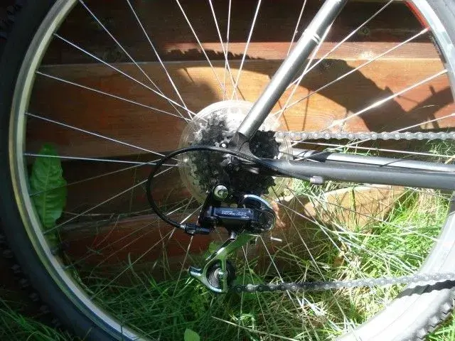 Rear.webp