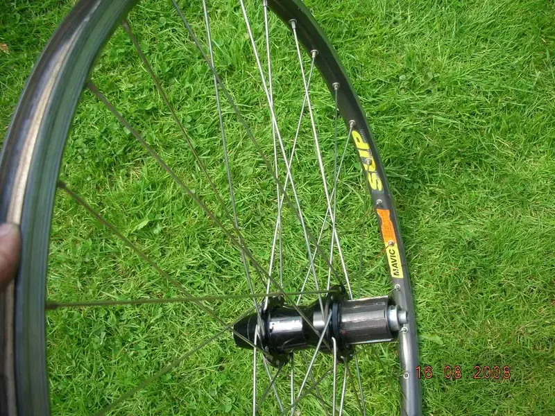 DSCN4626.webp