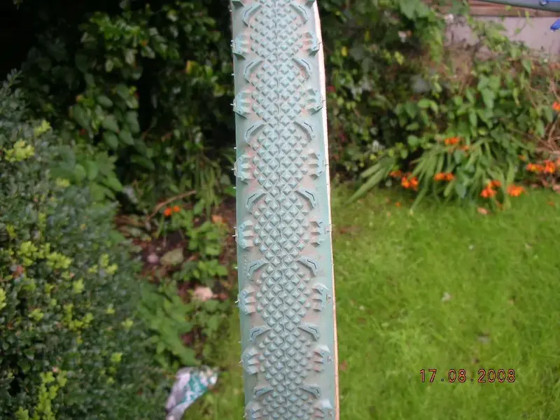 DSCN4655.webp