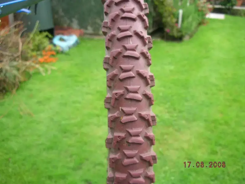 DSCN4662.webp