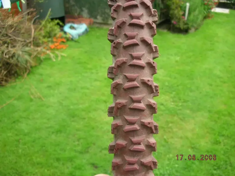 DSCN4660.webp