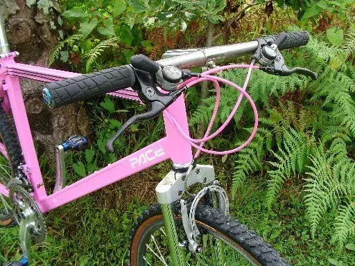 Pink Pace 1.webp