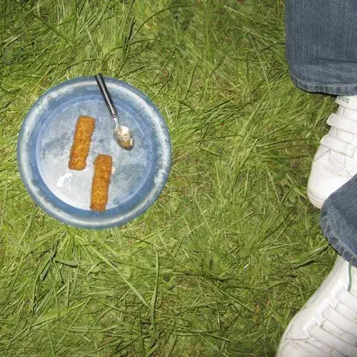 Fish Finger Delicacy.webp