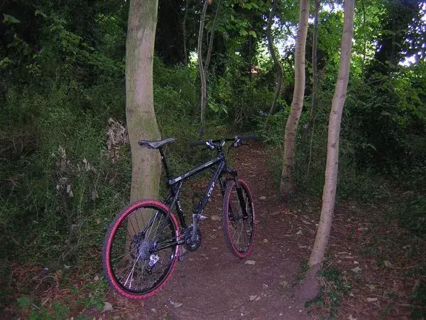 Ride 1.webp