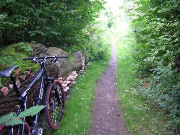 Ride 2.webp
