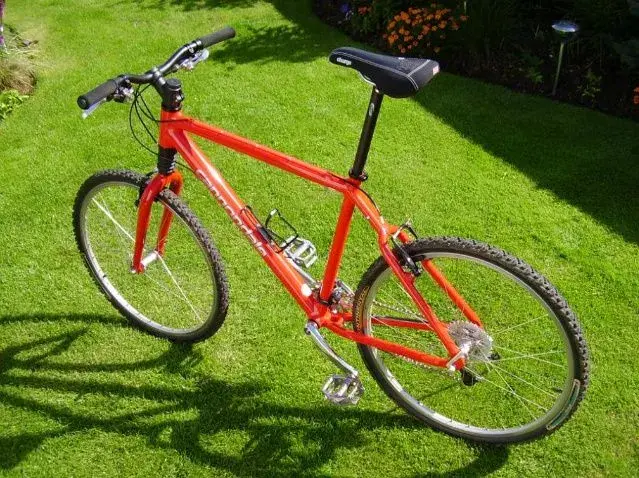 cannondale 2.webp