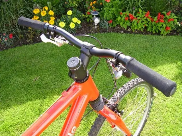 cannondale 4.webp