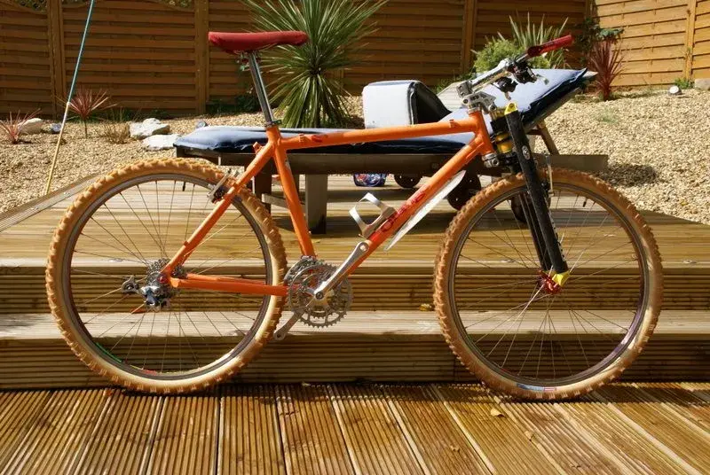 orange 018.webp