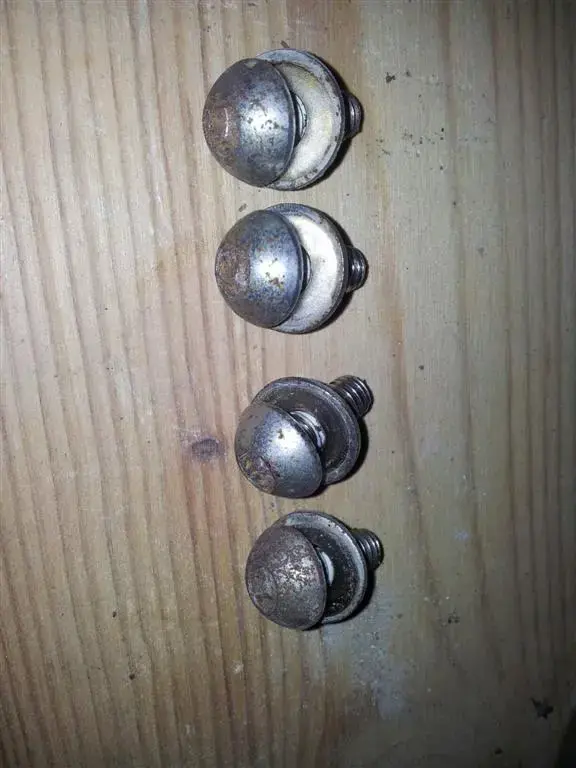rust (Large) (2).webp