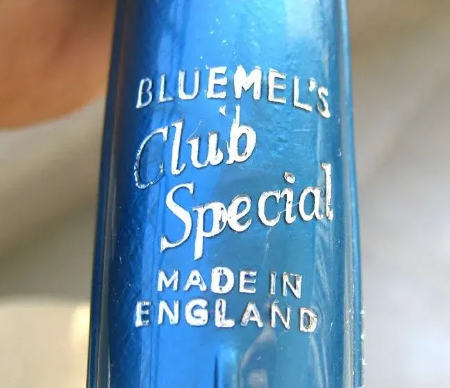 bluBlu.webp