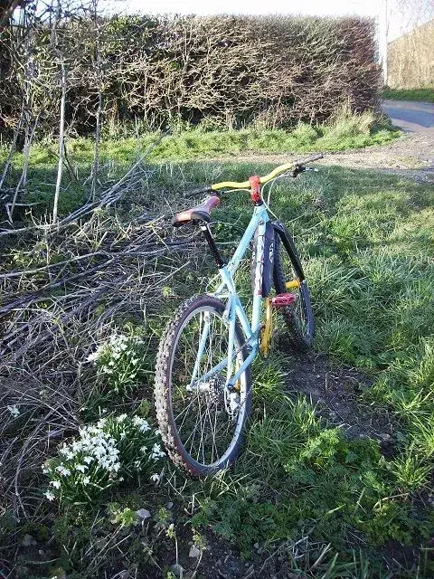 Karma Kona shake down ride 005.webp