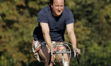 cameron460.webp
