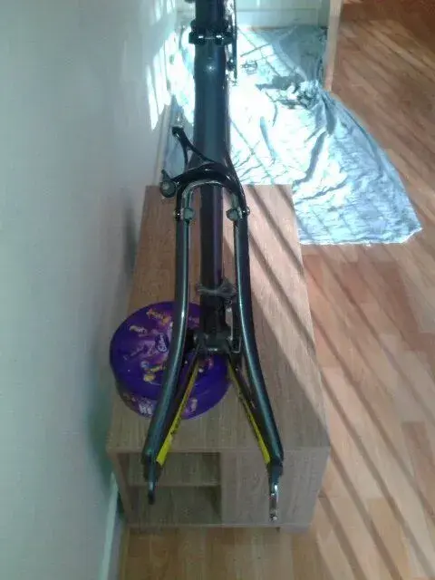 image.webp